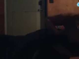  kats-meow chat room