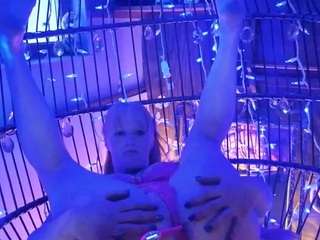 kats-meow webcam