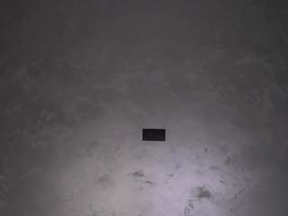 edwinabody live webcam show