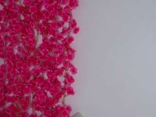 maycrute webcam