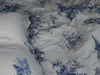 Amiblue