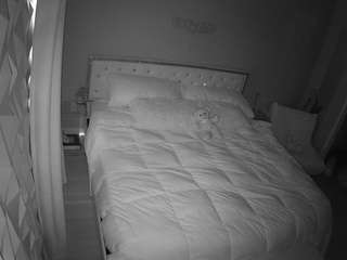 voyeurcam-whitneyoc-01