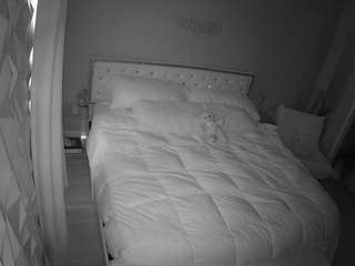 voyeurcam-whitneyoc-01