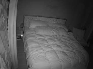voyeurcam-whitneyoc-01