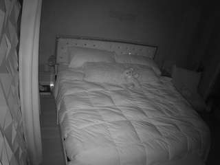 voyeurcam-whitneyoc-01