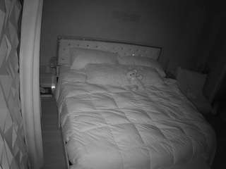 voyeurcam-whitneyoc-01