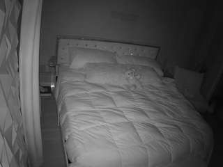 voyeurcam-whitneyoc-01