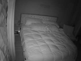 voyeurcam-whitneyoc-01