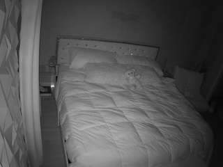 voyeurcam-whitneyoc-01