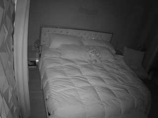 voyeurcam-whitneyoc-01