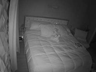 voyeurcam-whitneyoc-01