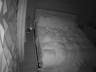 voyeurcam-whitneyoc-01