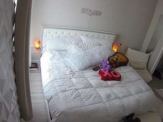 voyeurcam-whitneyoc-01