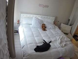 voyeurcam-whitneyoc-01