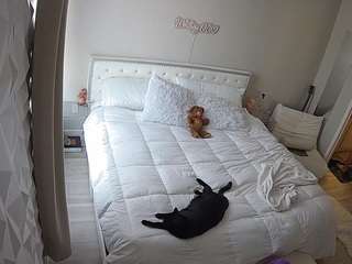 voyeurcam-whitneyoc-01