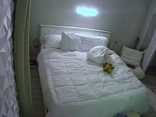 voyeurcam-whitneyoc-01