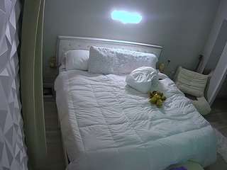 voyeurcam-whitneyoc-01