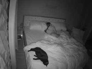 voyeurcam-whitneyoc-01