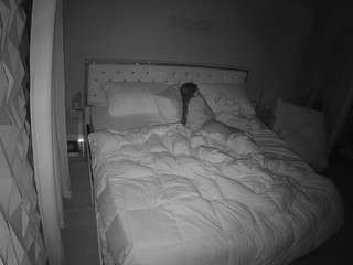 voyeurcam-whitneyoc-... webcam