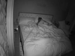 voyeurcam-whitneyoc-01