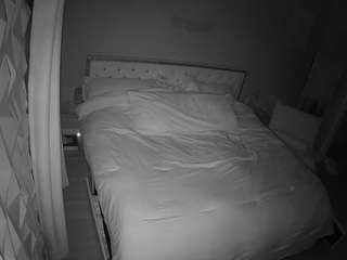 voyeurcam-whitneyoc-01