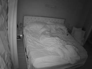 voyeurcam-whitneyoc-01