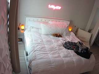 voyeurcam-whitneyoc-01