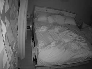 voyeurcam-whitneyoc-01