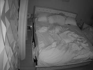 voyeurcam-whitneyoc-01