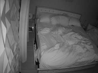 voyeurcam-whitneyoc-01