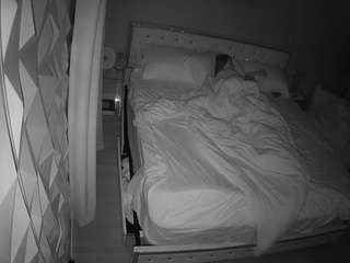 voyeurcam-whitneyoc-01