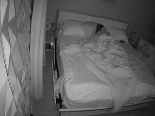 voyeurcam-whitneyoc-01