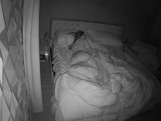 voyeurcam-whitneyoc-01