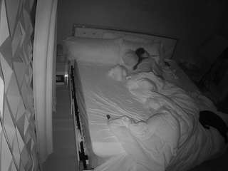 voyeurcam-whitneyoc-01