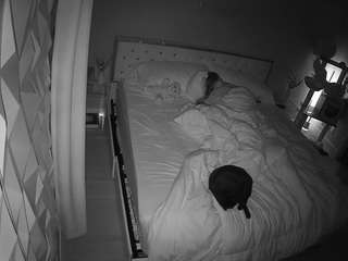 voyeurcam-whitneyoc-... webcam