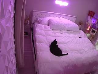 voyeurcam-whitneyoc-01