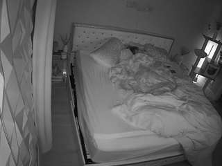 voyeurcam-whitneyoc-01