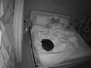 voyeurcam-whitneyoc-01