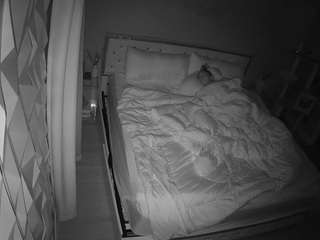 voyeurcam-whitneyoc-01