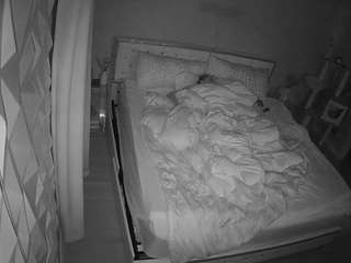 voyeurcam-whitneyoc-01