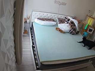 voyeurcam-whitne... Live Webcam on CamSoda