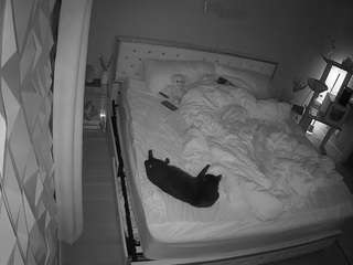 voyeurcam-whitneyoc-01