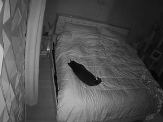 voyeurcam-whitneyoc-01's CamSoda show and profile