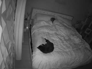 voyeurcam-whitne... Live Webcam on CamSoda