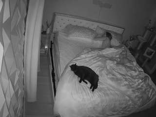 voyeurcam-whitneyoc-... webcam