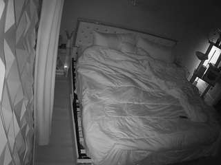 voyeurcam-whitneyoc-01