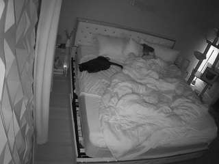 voyeurcam-whitneyoc-01