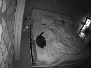 voyeurcam-whitneyoc-01