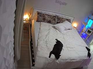 voyeurcam-whitneyoc-01