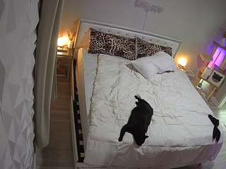 voyeurcam-whitneyoc-01